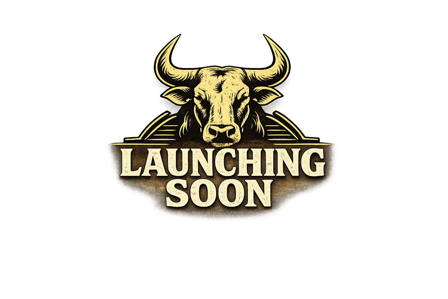 JA-BOET Launching Soon